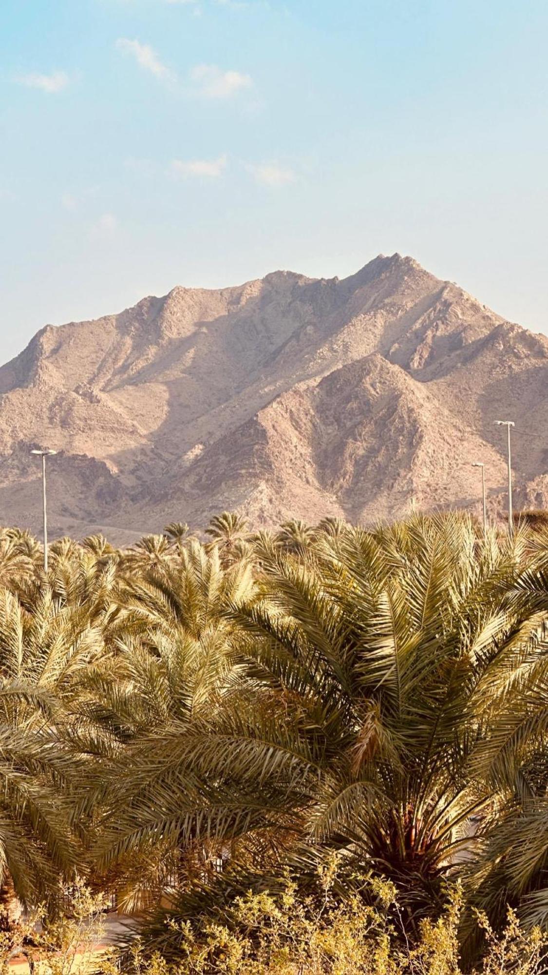 Hatta Retreat Private Pool Wadi Hub For Activities エクステリア 写真